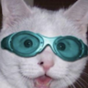 Meet your Posher, Alyvia